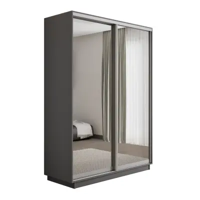 Оптим 2-х дверный 1 секция (Зеркало) (Серый диамант 1000х2200х440 К-2.4 Серебро профиль)