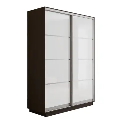 Оптим 2-х дверный 4 секции (Стекло белое) (Венге 1000х2200х440 К-2.3 Серебро профиль)